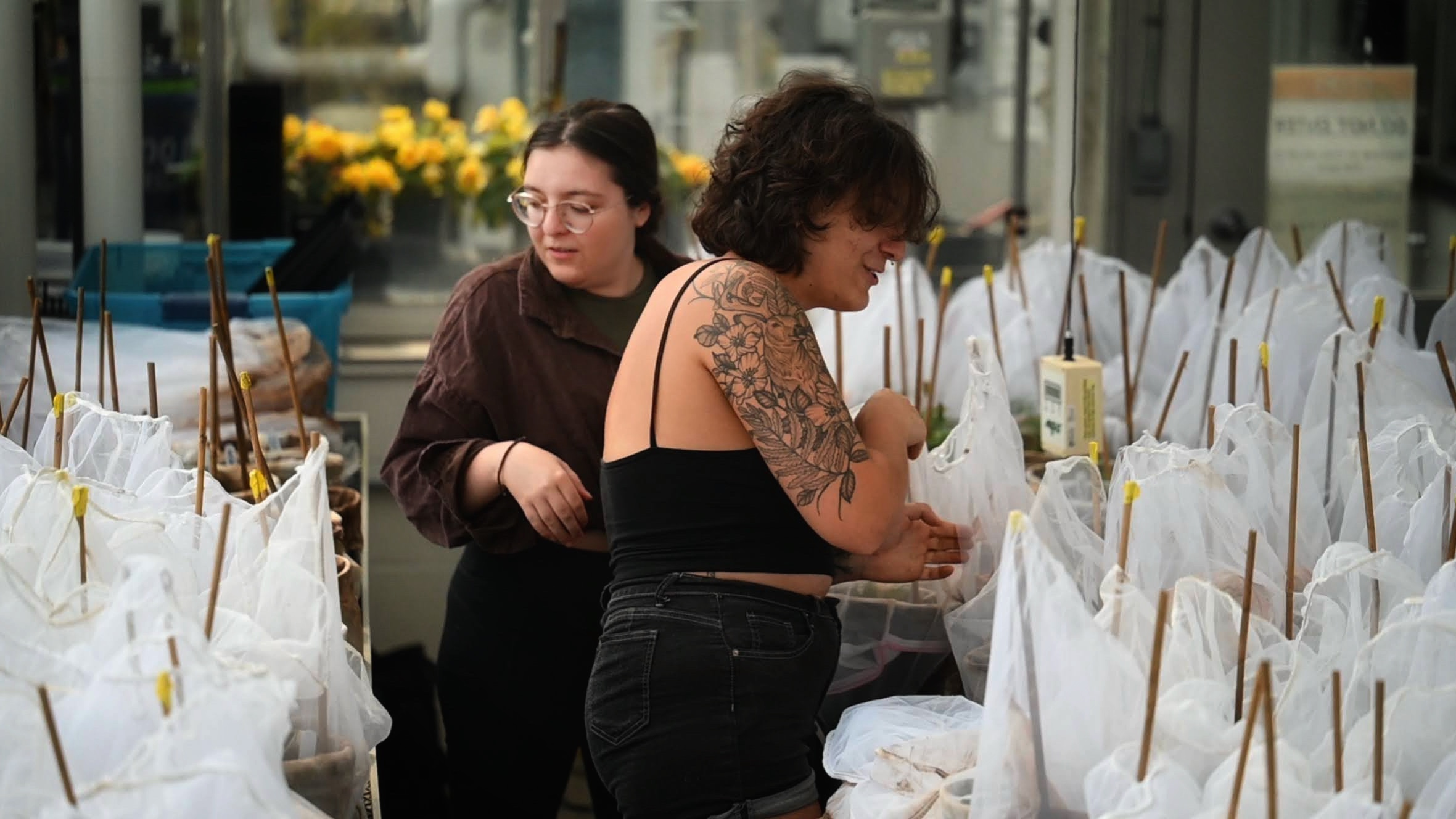 Abbey Acosta & Ollie Leibovich | Monitoing our experiment in UVM Greenhouse — Spring 2024